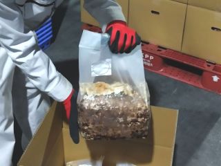 きのこ菌床生産に興味のある農家様・法人様へ